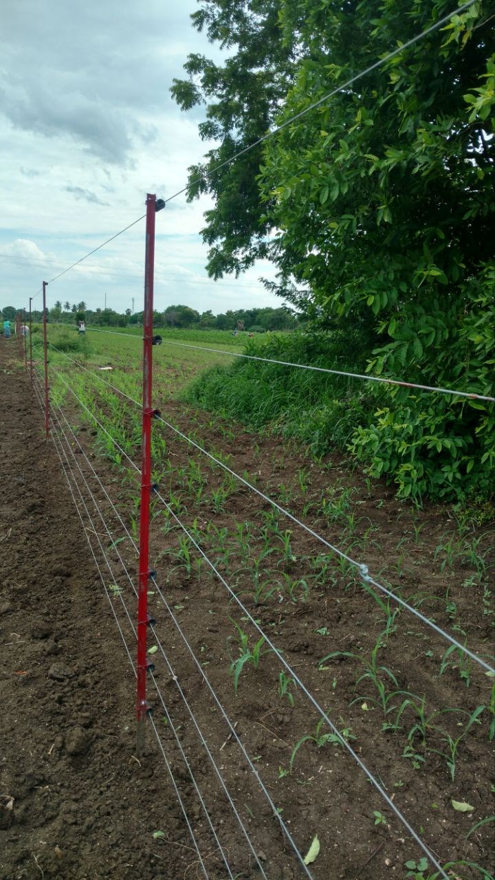 Solar Fence, Sloar Fencing, Electric Fence, Electric Fencing System