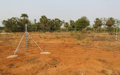 Solar Power Plant