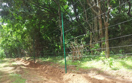 Solar Fence, Sloar Fencing, Electric Fence, Electric Fencing System