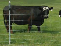 Solar Fence, Sloar Fencing, Electric Fence, Electric Fencing System