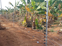 Solar Fence, Sloar Fencing, Electric Fence, Electric Fencing System