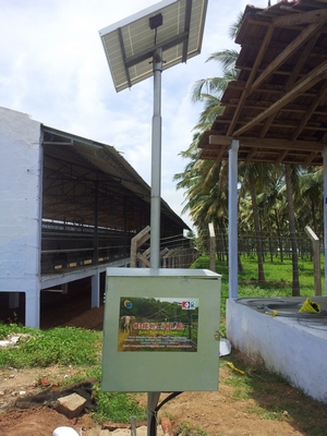 Solar Street Light