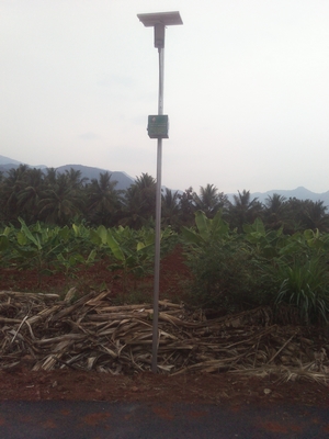 Solar Street Light