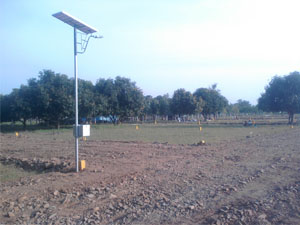 Solar Street Light